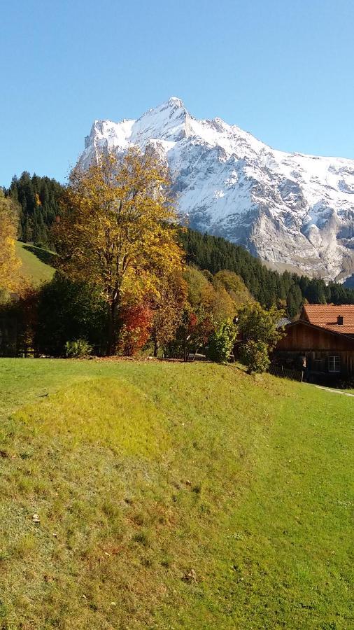 Chalet Uf Em Stutz 2 Гріндельвальд Екстер'єр фото